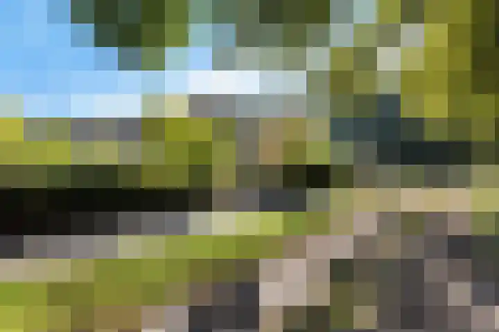 Larikslaan 5 Exloo thumbnail 49