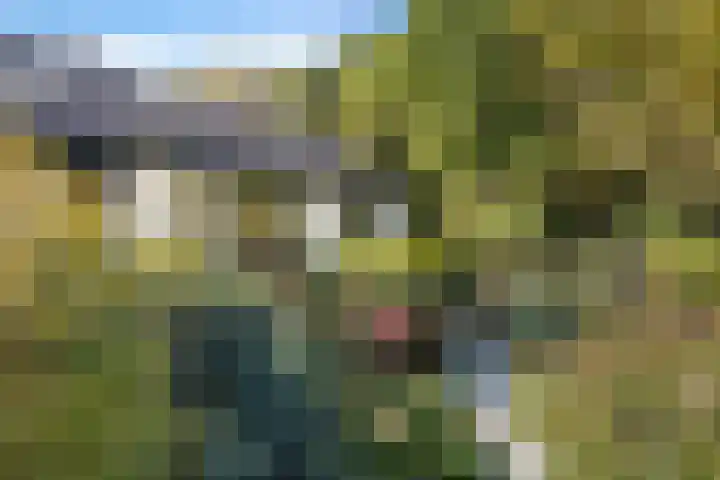Larikslaan 5 Exloo thumbnail 5