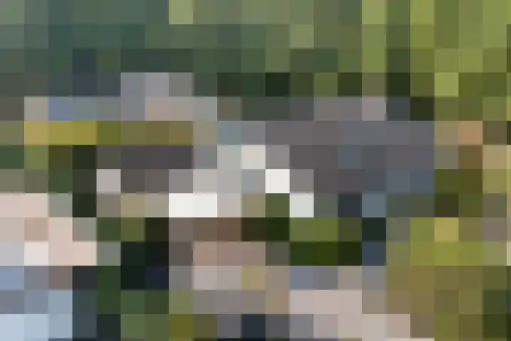 Larikslaan 5 Exloo thumbnail 50