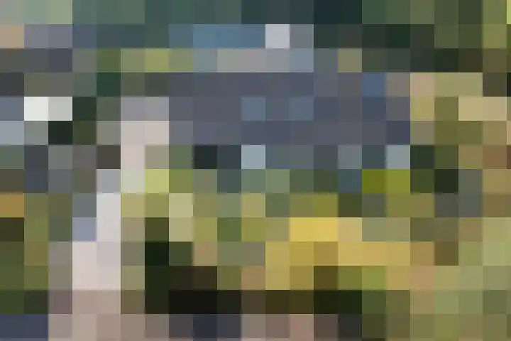 Larikslaan 5 Exloo thumbnail 51