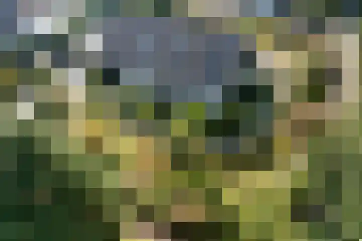 Larikslaan 5 Exloo thumbnail 52