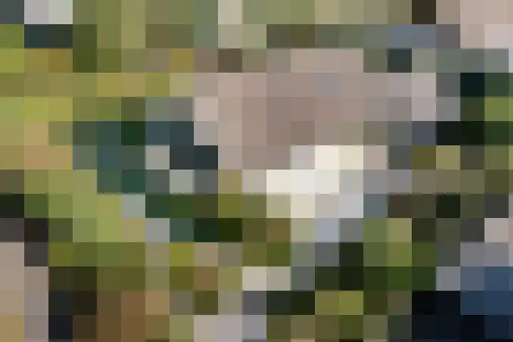 Larikslaan 5 Exloo thumbnail 53
