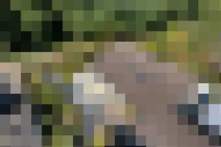 Larikslaan 5 Exloo thumbnail 54