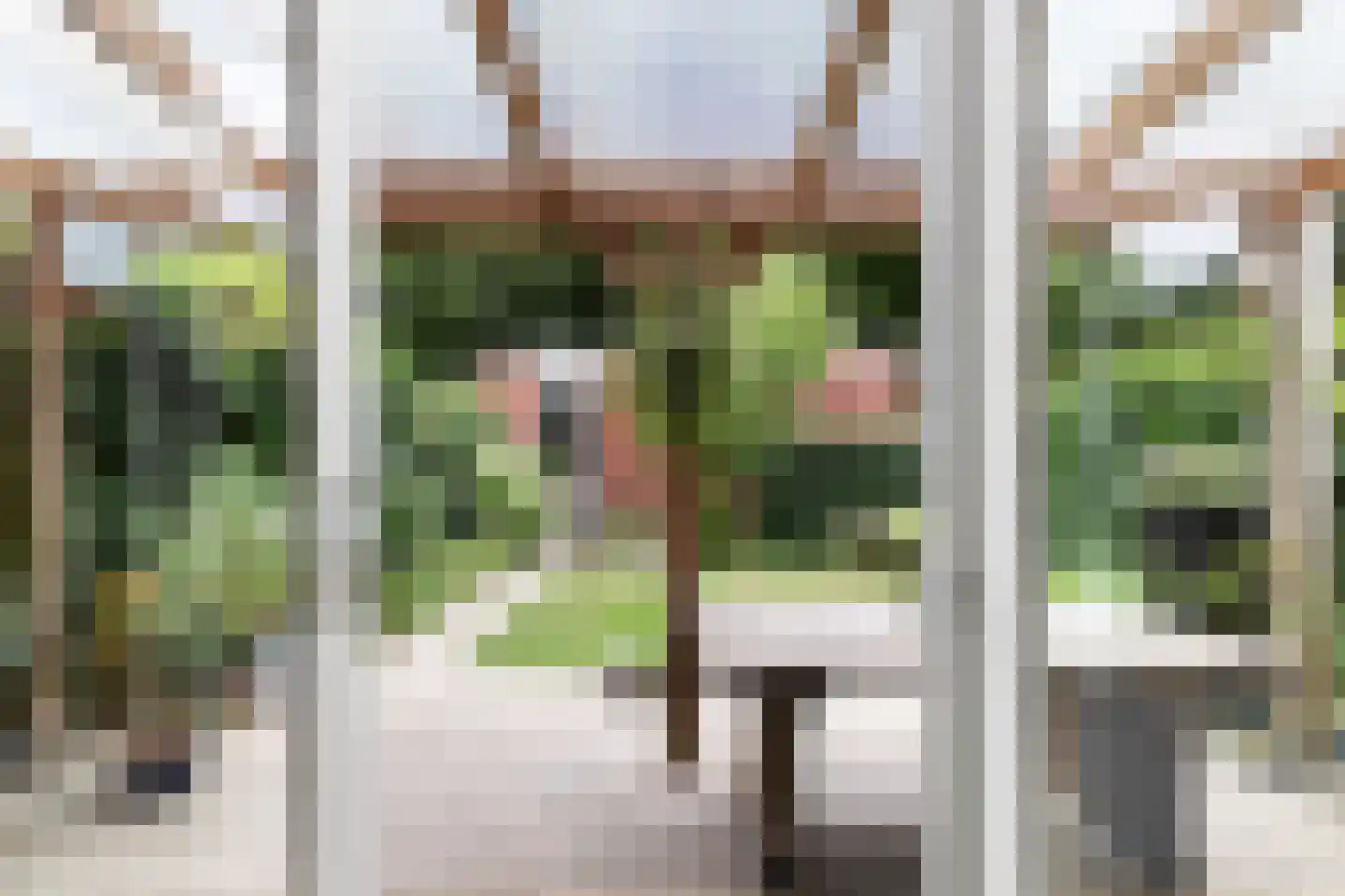 Larikslaan 50 Woudenberg thumbnail 38