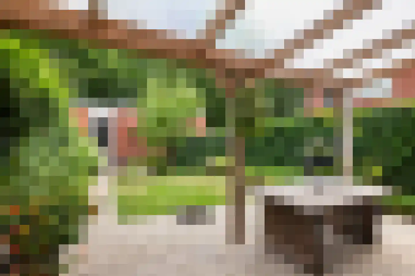 Larikslaan 50 Woudenberg thumbnail 39