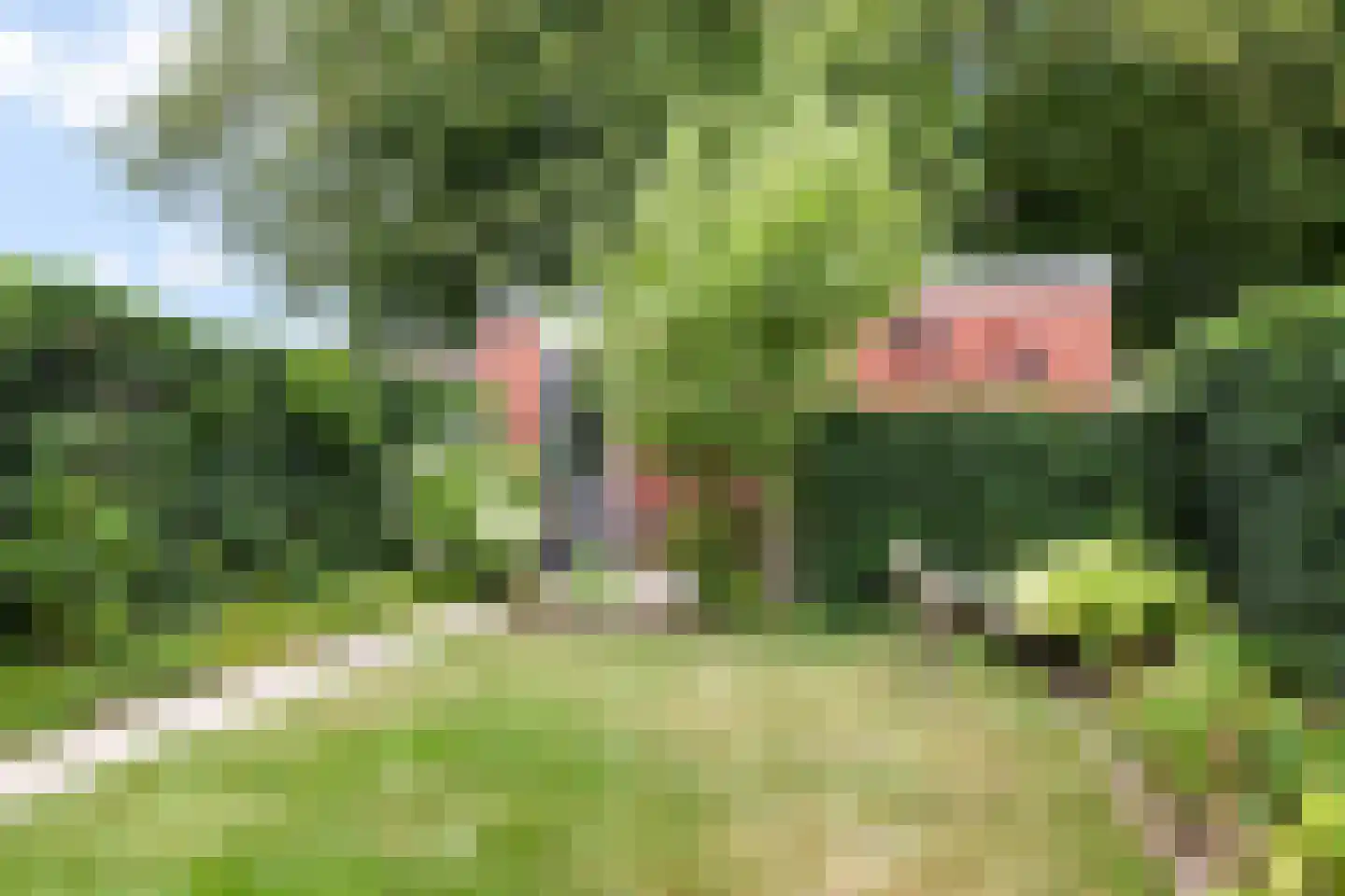 Larikslaan 50 Woudenberg thumbnail 41