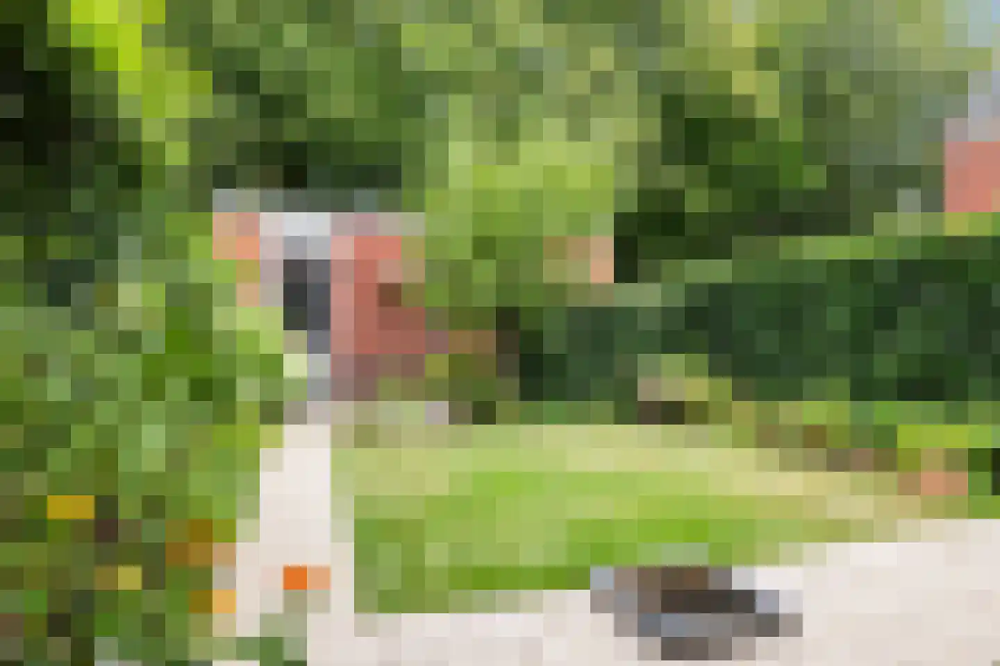Larikslaan 50 Woudenberg thumbnail 42