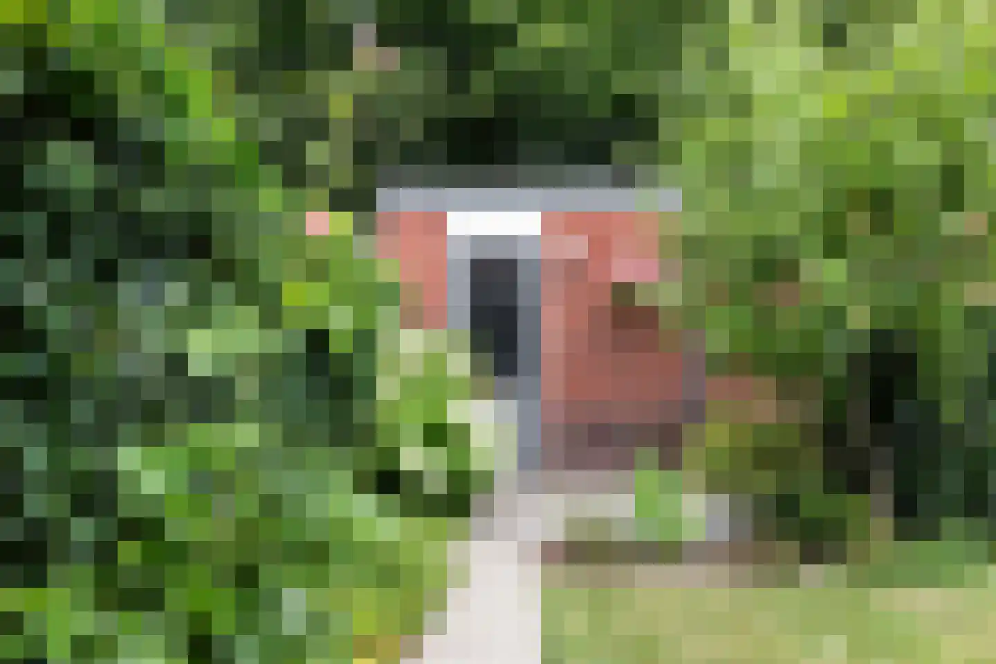 Larikslaan 50 Woudenberg thumbnail 43