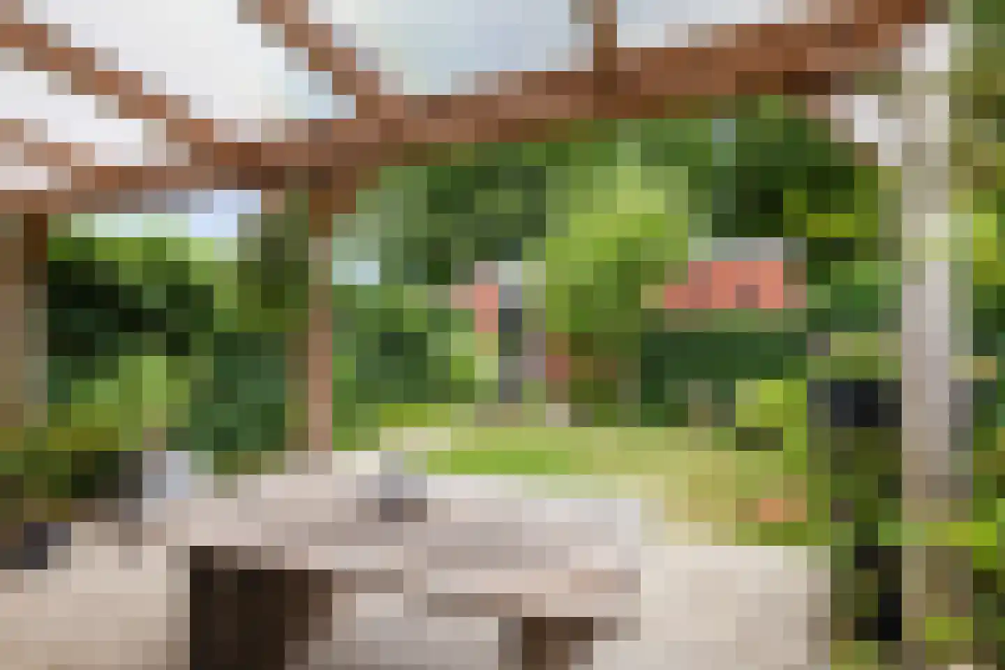 Larikslaan 50 Woudenberg thumbnail 5