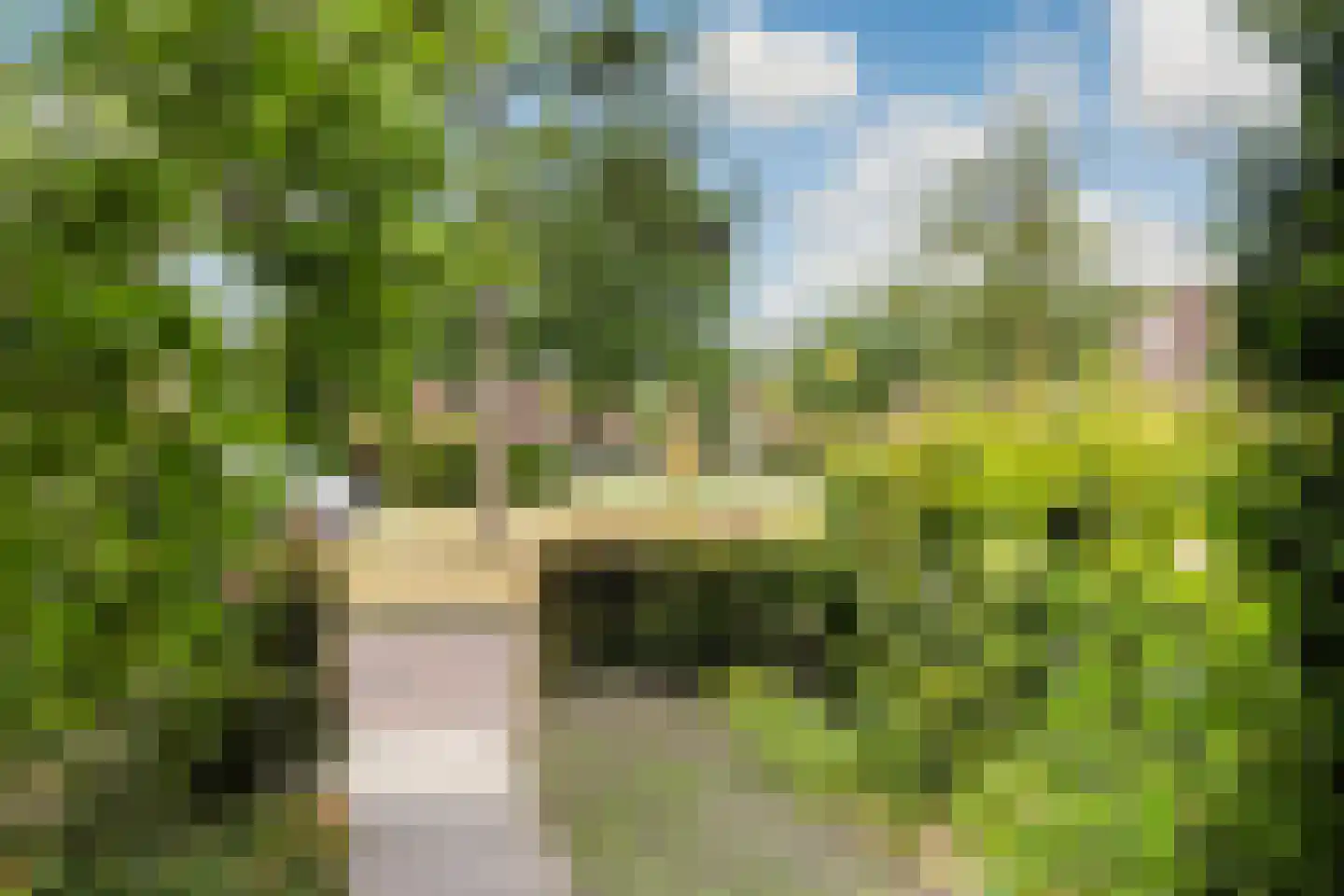 Larikslaan 50 Woudenberg thumbnail 50