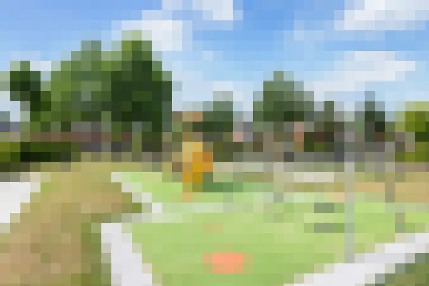 Larikslaan 50 Woudenberg thumbnail 51