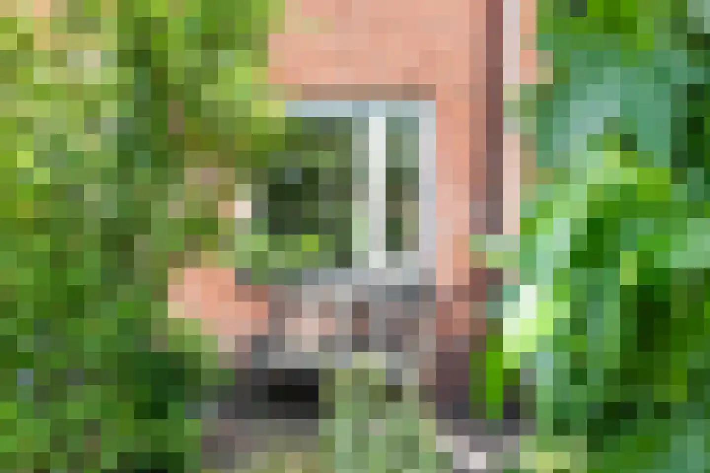 Larikslaan 50 Woudenberg thumbnail 8