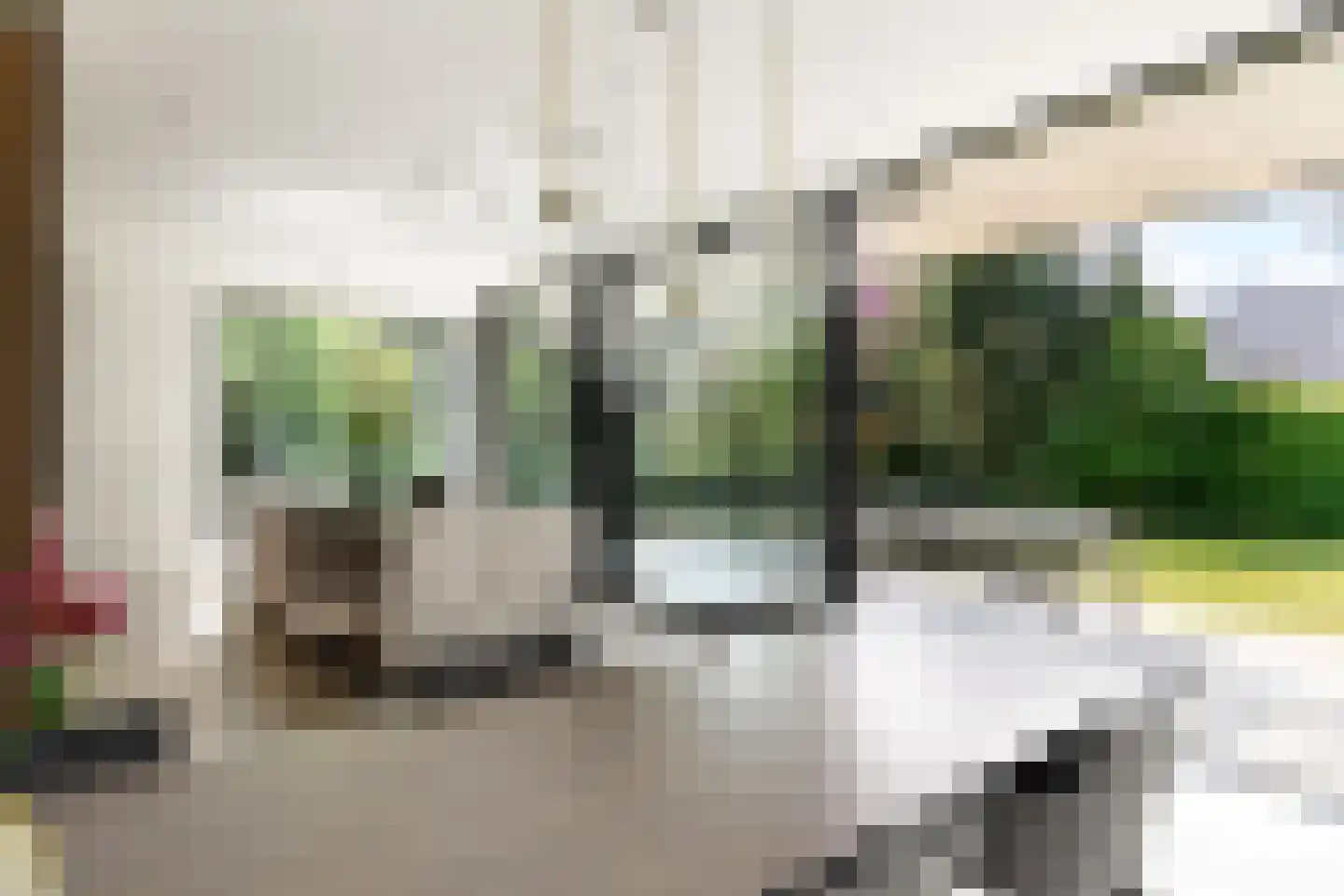 Larikslaan 6 Amsterdam thumbnail 10