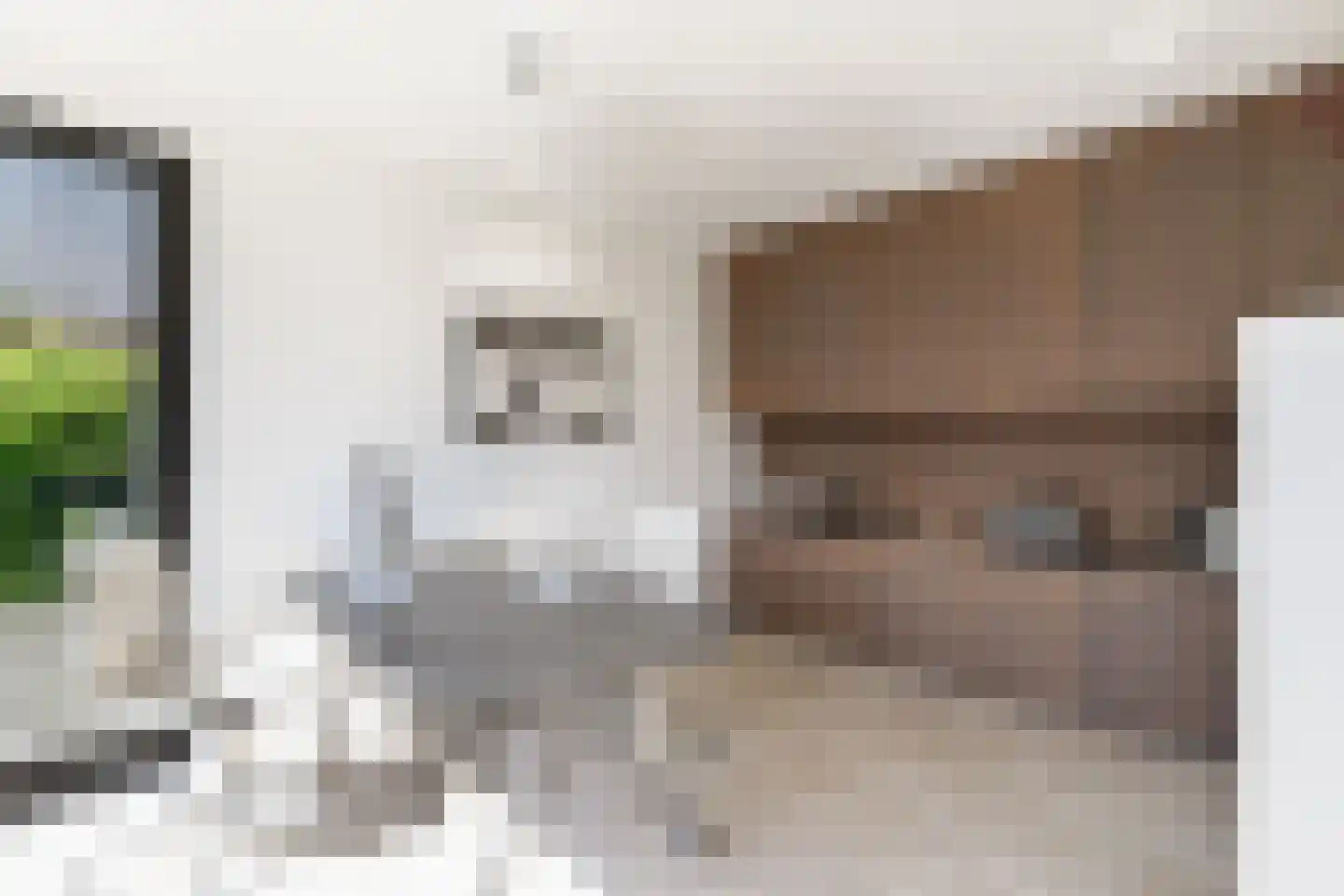 Larikslaan 6 Amsterdam thumbnail 17