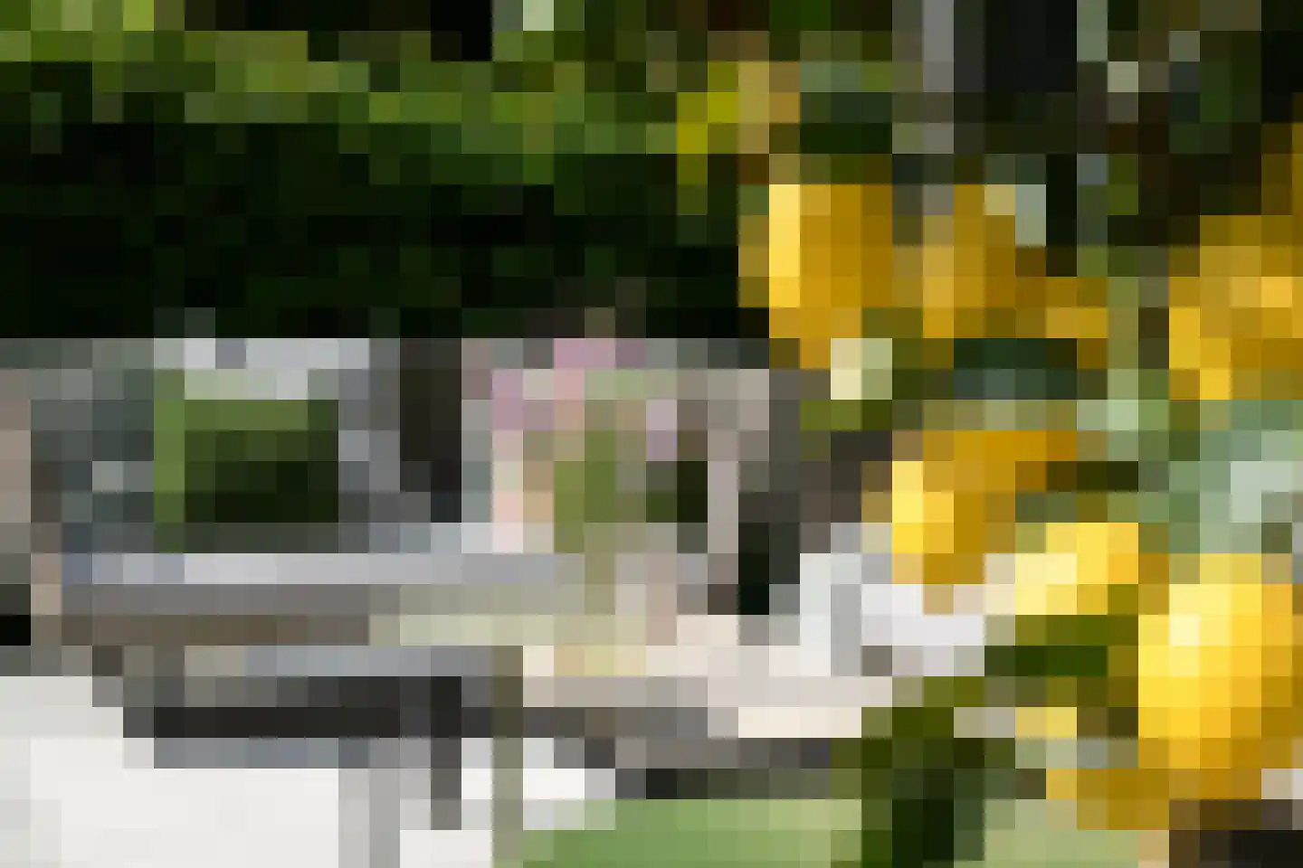 Larikslaan 6 Amsterdam thumbnail 20