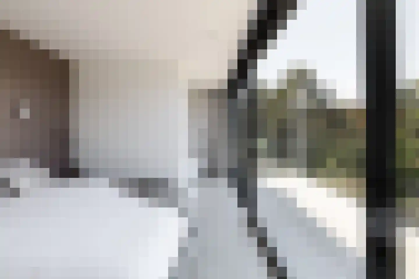Larikslaan 6 Amsterdam thumbnail 24