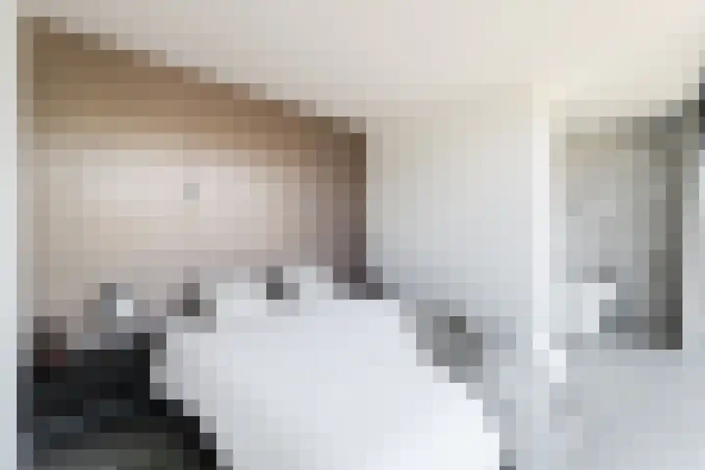 Larikslaan 6 Amsterdam thumbnail 25