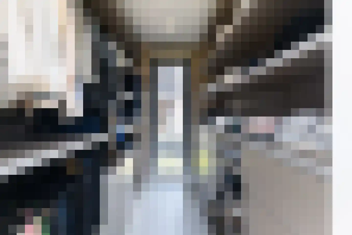 Larikslaan 6 Amsterdam thumbnail 31