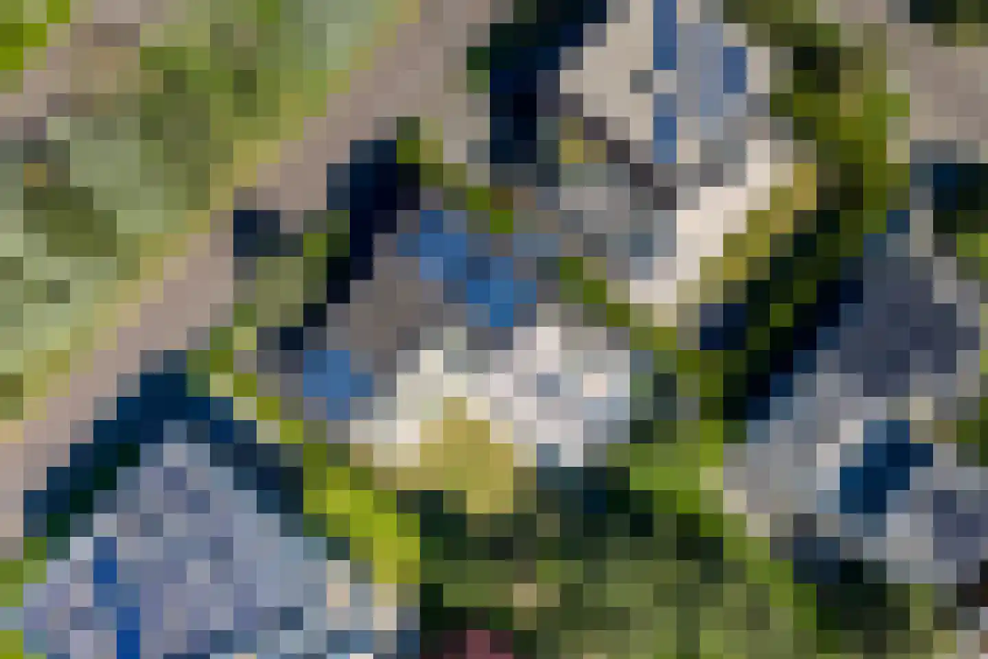 Larikslaan 6 Amsterdam thumbnail 52