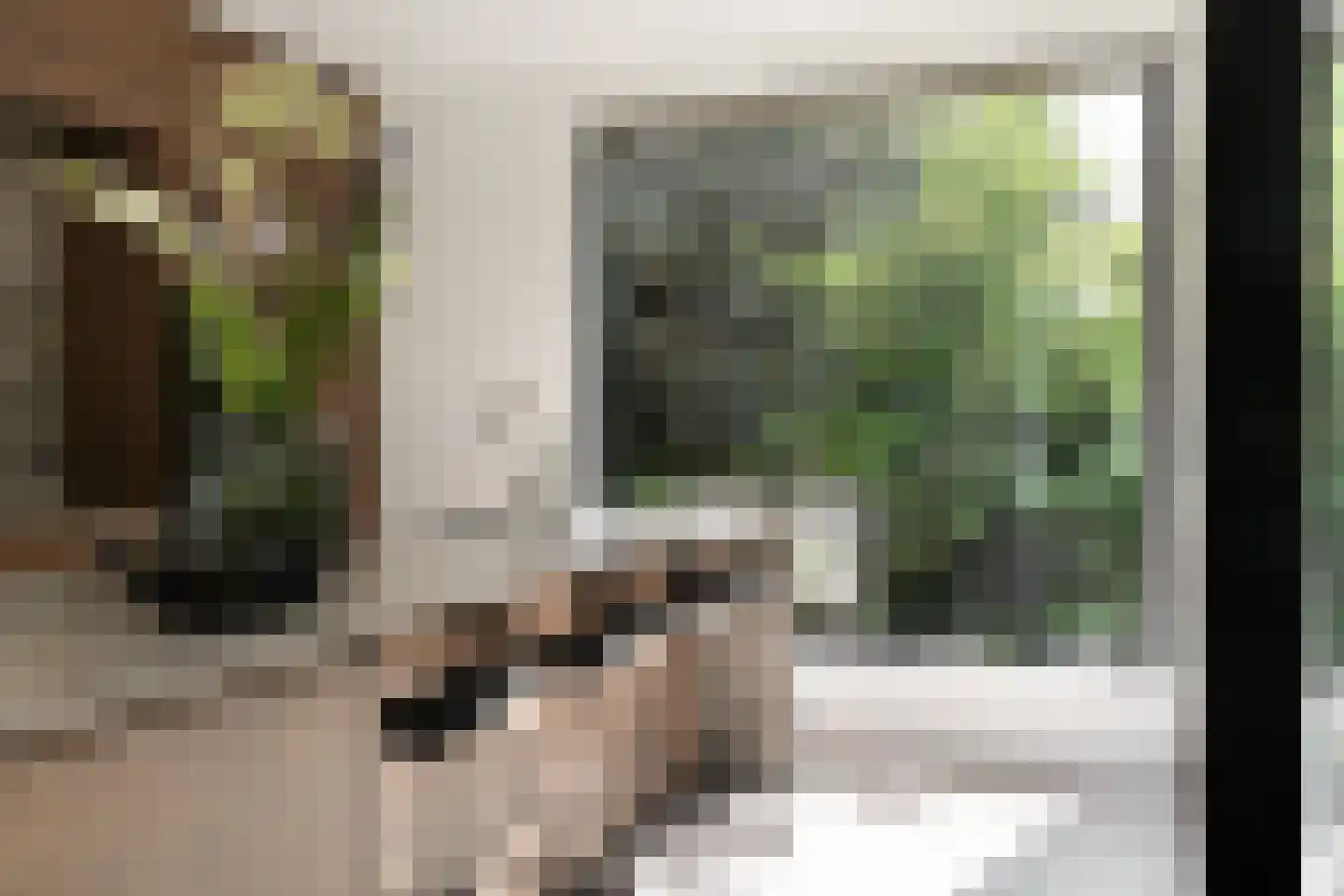 Larikslaan 6 Amsterdam thumbnail 7