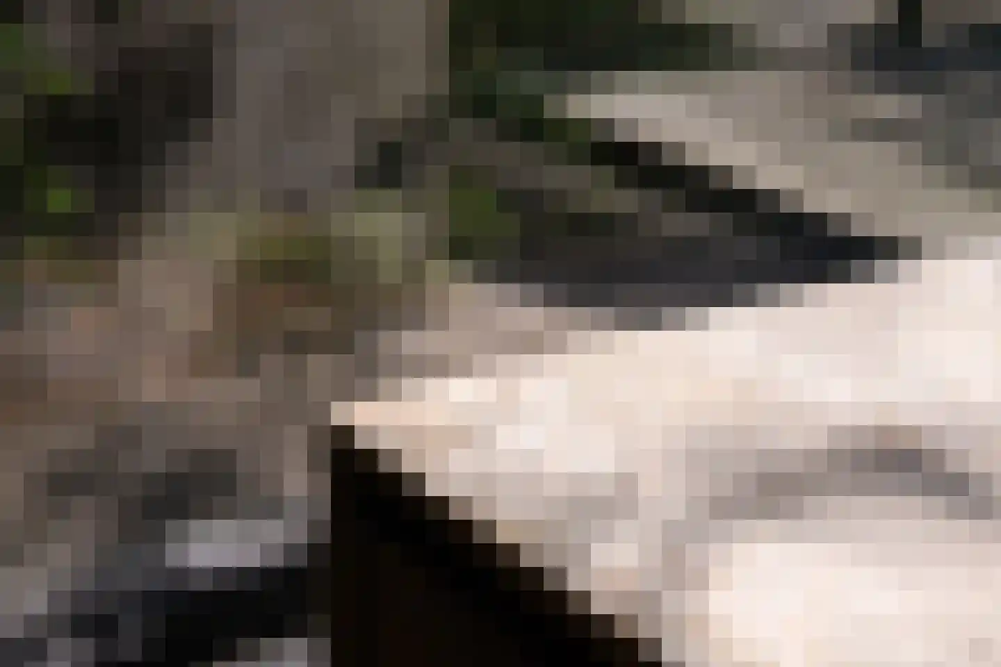 Larikslaan 6 Amsterdam thumbnail 9
