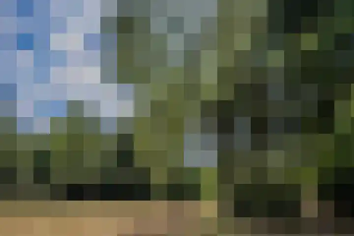 Larikslaan 6 Knegsel thumbnail 10