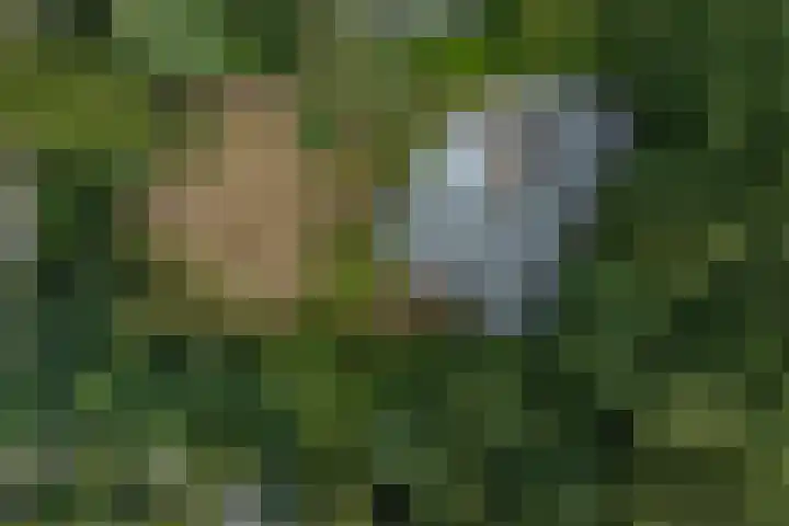 Larikslaan 6 Knegsel thumbnail 11