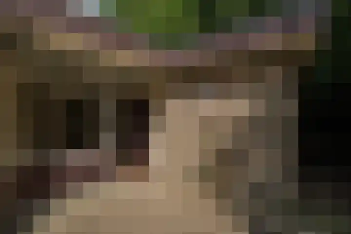 Larikslaan 6 Knegsel thumbnail 12