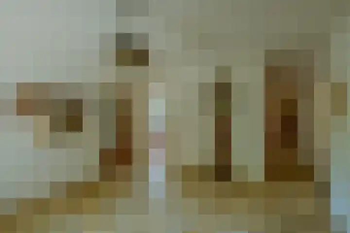 Larikslaan 6 Knegsel thumbnail 13
