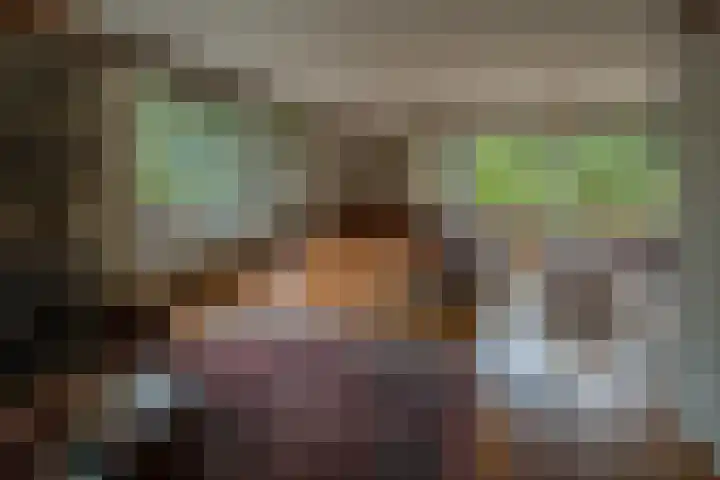 Larikslaan 6 Knegsel thumbnail 14