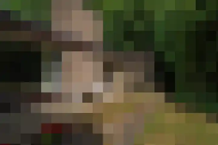 Larikslaan 6 Knegsel thumbnail 16