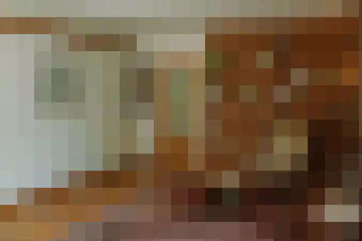 Larikslaan 6 Knegsel thumbnail 18