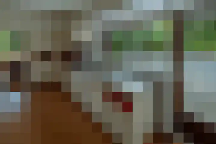 Larikslaan 6 Knegsel thumbnail 19