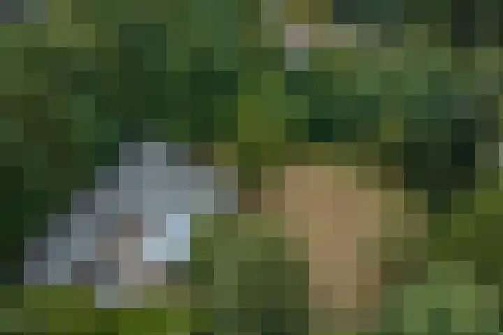 Larikslaan 6 Knegsel thumbnail 20