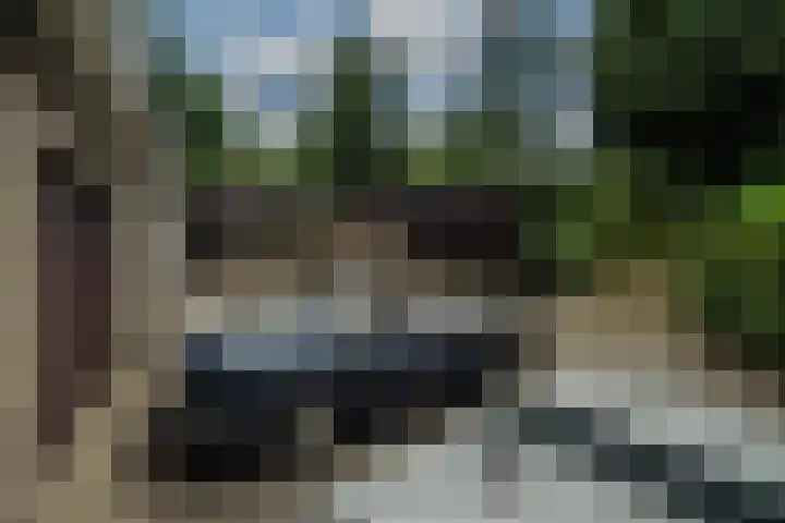Larikslaan 6 Knegsel thumbnail 23