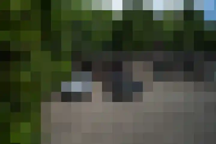 Larikslaan 6 Knegsel thumbnail 24