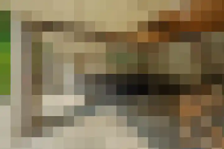 Larikslaan 6 Knegsel thumbnail 25