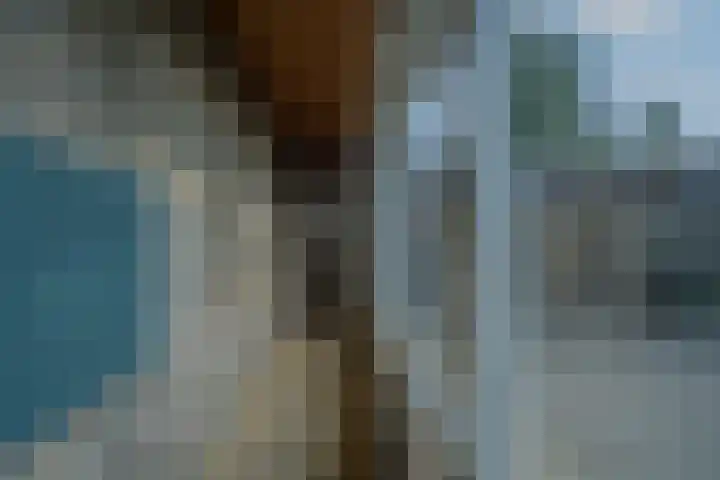 Larikslaan 6 Knegsel thumbnail 28