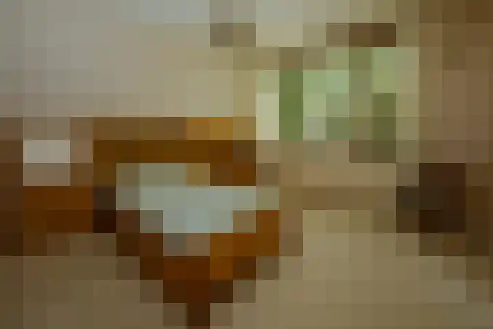 Larikslaan 6 Knegsel thumbnail 30