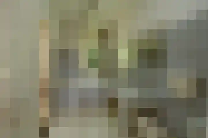 Larikslaan 6 Knegsel thumbnail 31