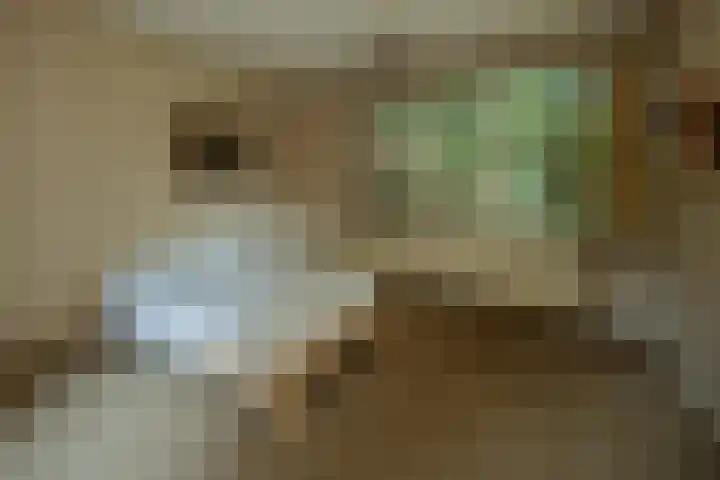 Larikslaan 6 Knegsel thumbnail 32