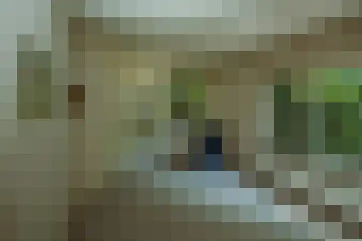 Larikslaan 6 Knegsel thumbnail 35
