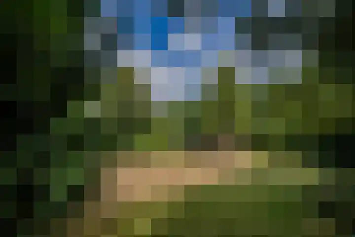 Larikslaan 6 Knegsel thumbnail 37