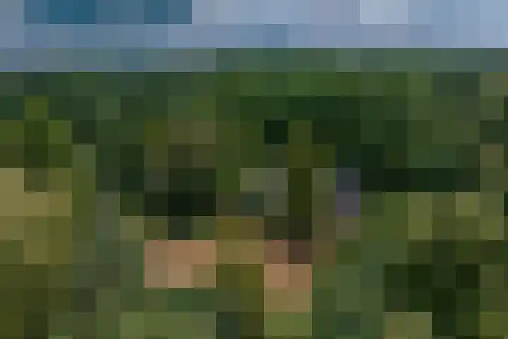 Larikslaan 6 Knegsel thumbnail 4