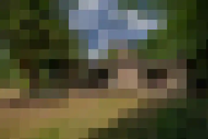 Larikslaan 6 Knegsel thumbnail 5