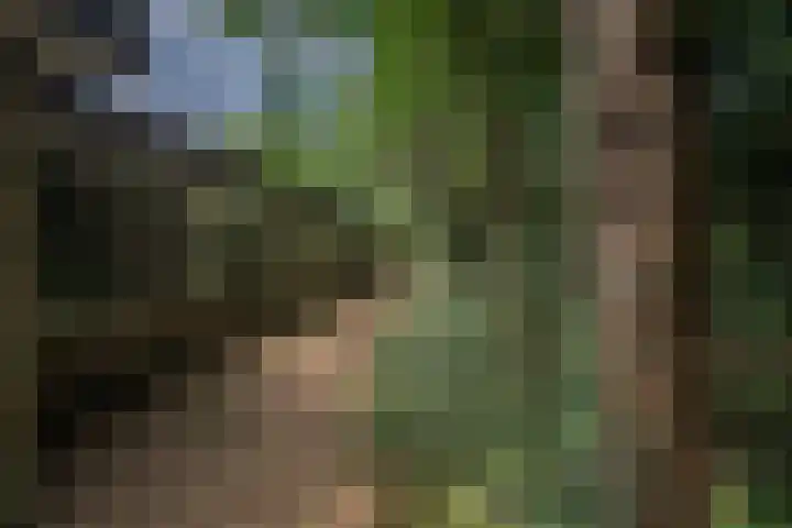 Larikslaan 6 Knegsel thumbnail 6