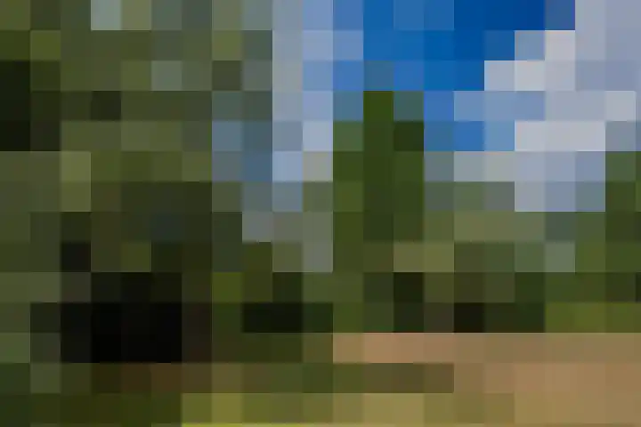 Larikslaan 6 Knegsel thumbnail 7