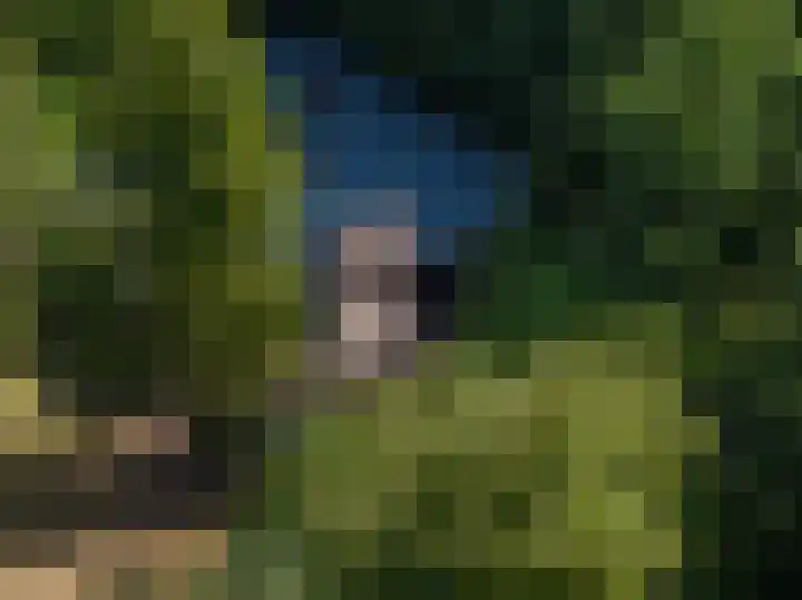Larikslaan 6 Knegsel thumbnail 8