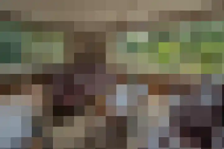 Larikslaan 6 Knegsel thumbnail 9