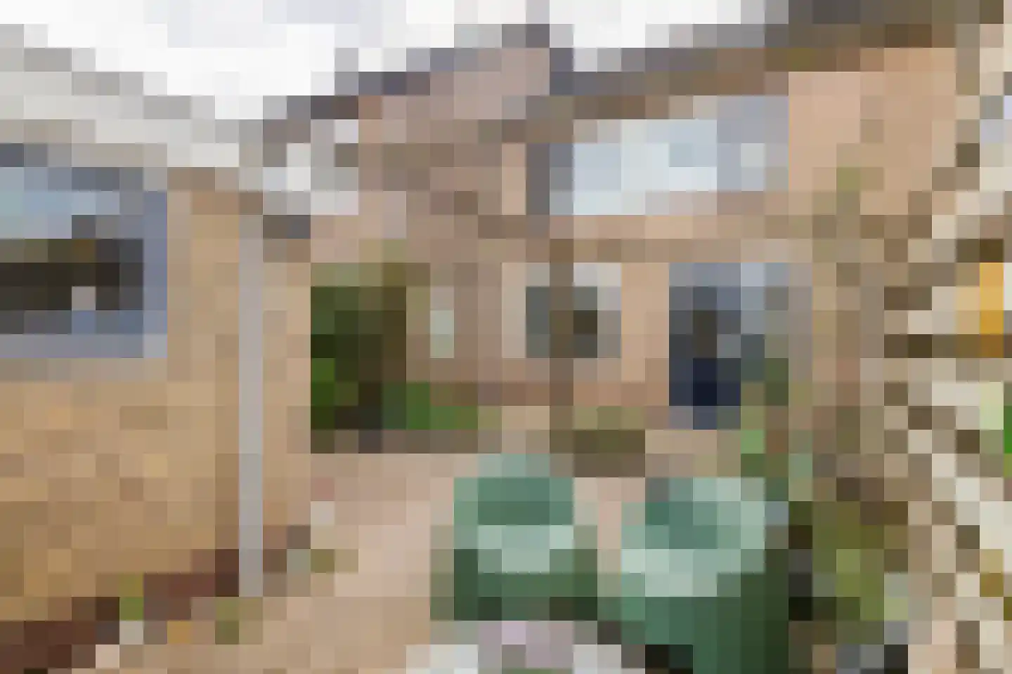 Larikslaan 6 Sleeuwijk thumbnail 14